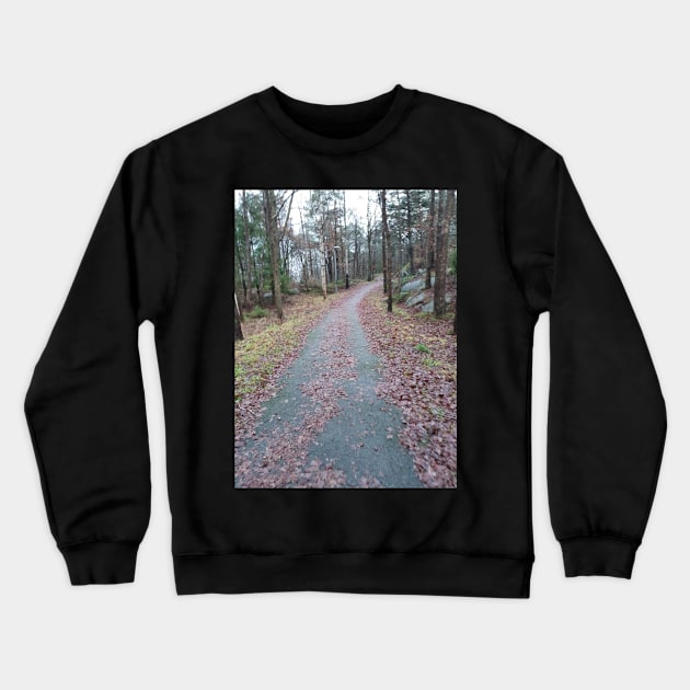 Crooked Road Crewneck Sweatshirt by Alemway